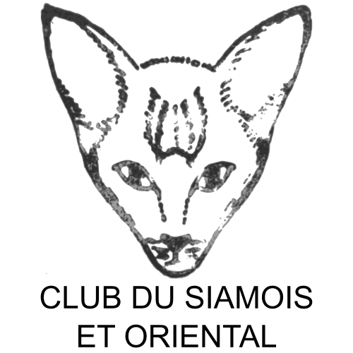 Club du Siamois et Oriental