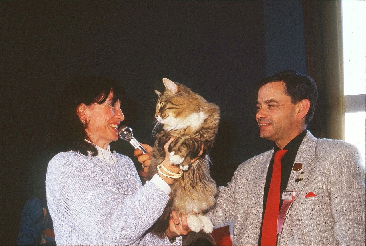 News Archives Fff Le Site De La Federation Feline Francaise News Archives Fff Le Site De La Federation Feline Francaise