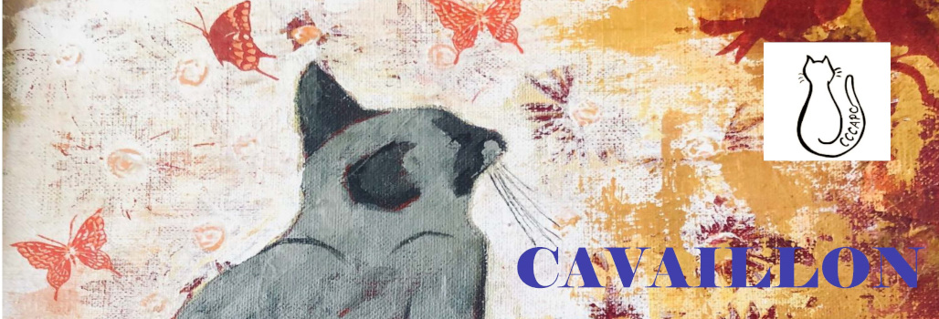 Calendrier Des Expositions Felines